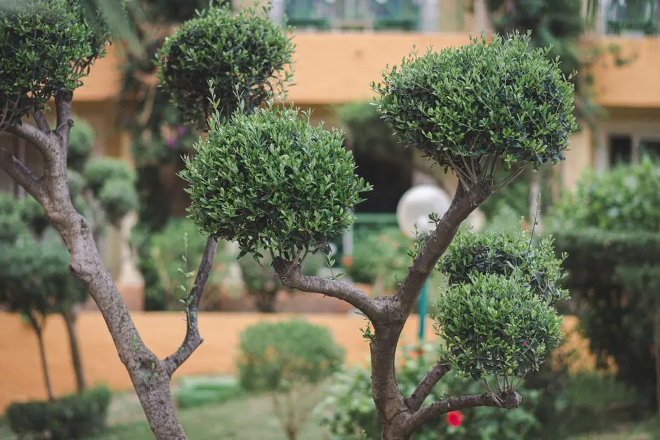 Greens & Outdoors at PHOENIX MALL OF COIMBATORE, Nava India, Coimbatore