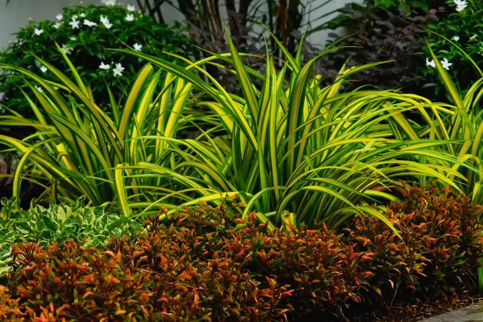 Greens & Outdoors at PHOENIX MILLS SECTOR 62 (MOHALI), Mohali