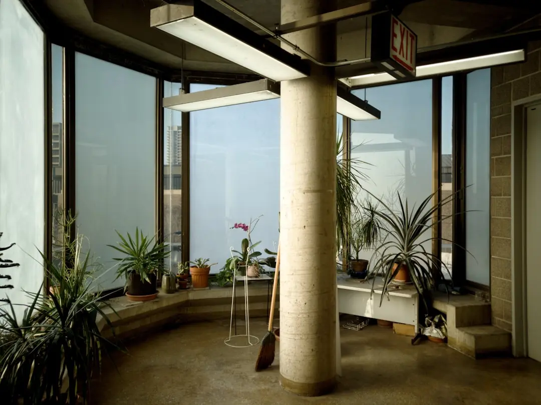 PHOENIX MILLENNIUM TOWERS, Wakad, Pune — Photo 2