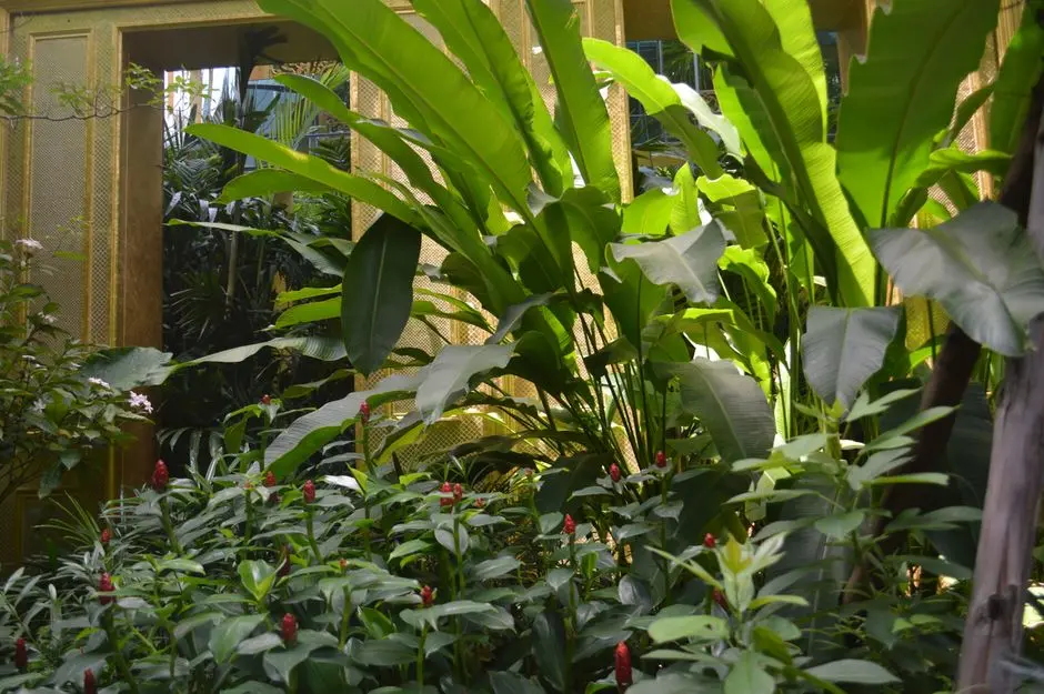 Greens & Outdoors at PHOENIX ONE BANGALORE WEST TOWER 8 AND 9, Rajajinagar, Bangalore