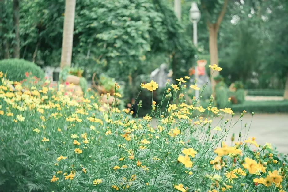 Greens & Outdoors at PHOENIX MILLS THE CREST, Velachery, Chennai